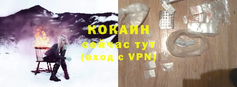 Cocaine Fish Scale  это официальный сайт  Ковров 