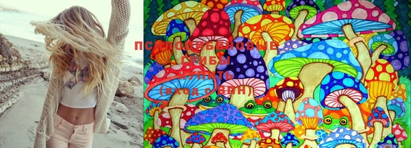 стафф Кинешма