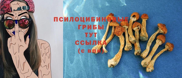 стафф Кинешма