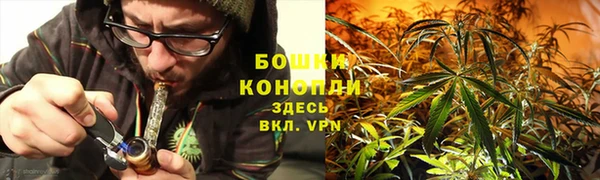стафф Кинешма