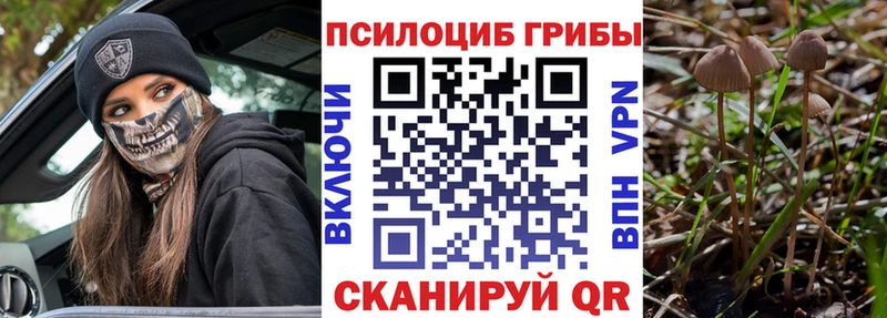 Псилоцибиновые грибы Cubensis  Ковров 