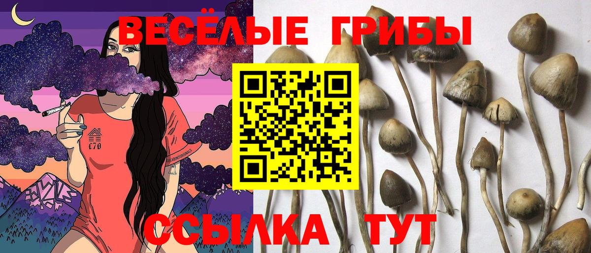 Псилоцибиновые грибы мухоморы Ковров