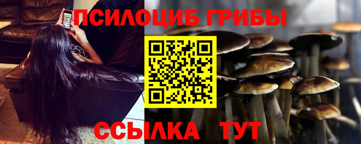 Псилоцибиновые грибы прущие грибы  Вход с VPN  Ковров 