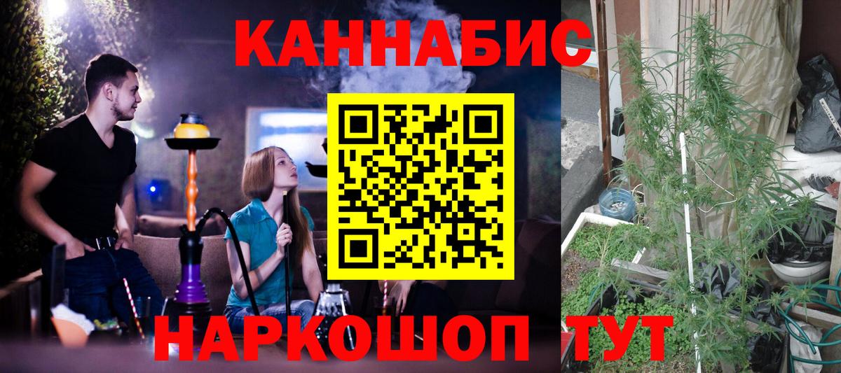 Бошки Шишки Ковров